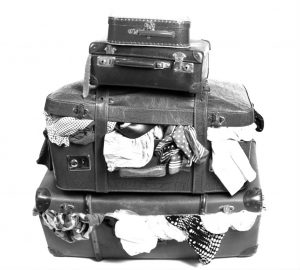 expat management coaching training hamburg